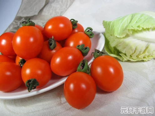 幻塔美食探索，揭秘黄金番茄碎的烹饪秘籍