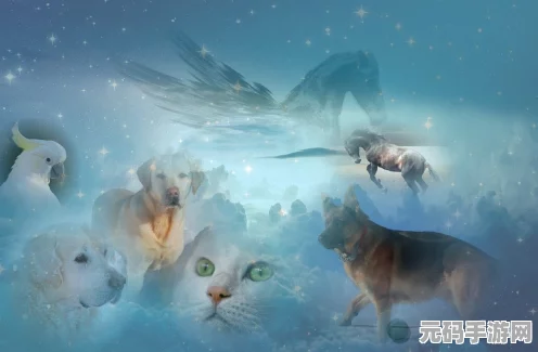 龙族幻想，揭秘宠物养成秘籍，打造最强萌宠伙伴