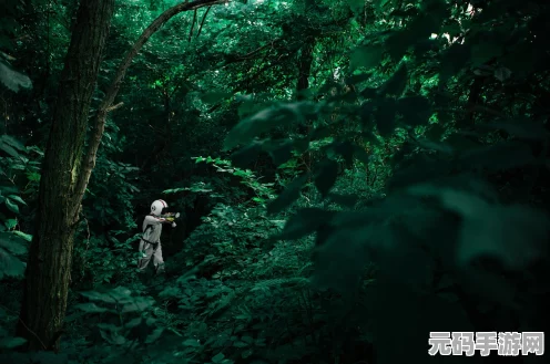 边境之旅探索之旅，解锁高级套装全攻略