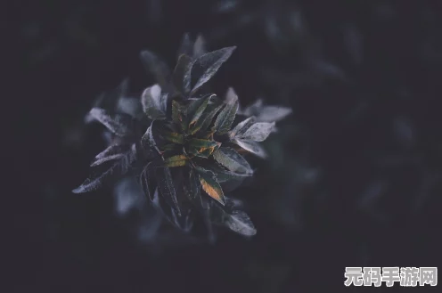 黑神话，悟空棍花破隐流玩法深度揭秘