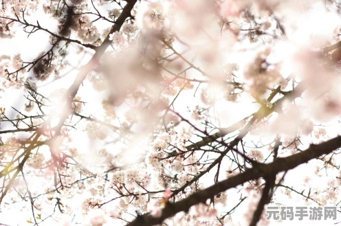 江南百景图，解锁茶园秘境，探寻诗意栖居之城