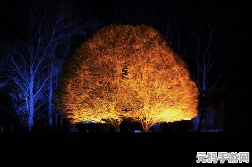 超级地城之光，解锁战魂潜能，揭秘魂印搭配秘籍