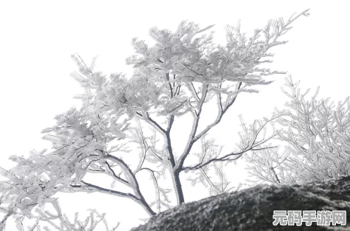 江南百景图冬至特辑，穿越古今，共品汤圆温情
