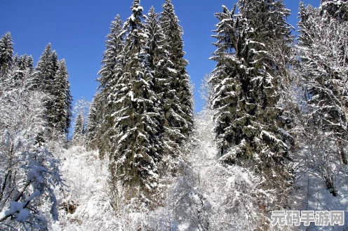 少年歌行风花雪月篇，探寻武侠世界的浪漫结局