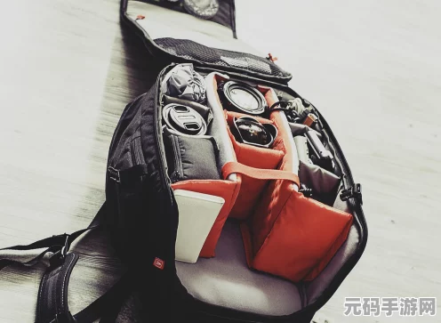 黑色沙漠探险指南，解锁游戏精髓与技巧宝藏