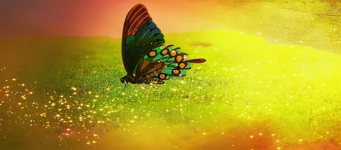 暗喻幻想:ReFantazio探险家指南，揭秘黄金虫4的珍藏之地