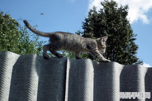 猫和老鼠雪夜古堡探秘，揭秘地面下落栅栏的奇妙机关