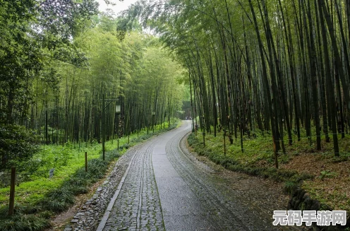 杭州竹韵悠长，江南百景图竹子获取全攻略