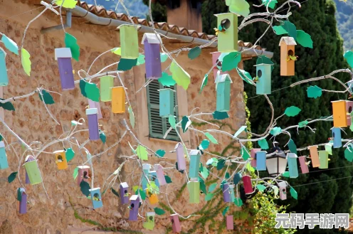 阴阳师秘境奇遇，揭秘花与舞的盛宴之地全貌