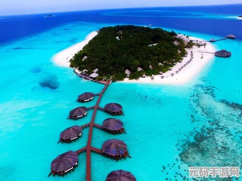 战舰世界海洋冒险新篇章，守护海洋再进化，携手忍者神龟共启征途
