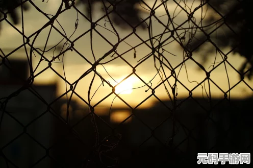 辐射4强力磁铁任务全揭秘，获取磁铁的绝佳攻略