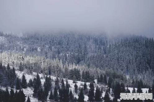 原神雪山探险必备，寒冷值降低全攻略