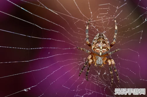 怪物猎人世界深度探索，揭秘花朵小刀II图鉴的魅力