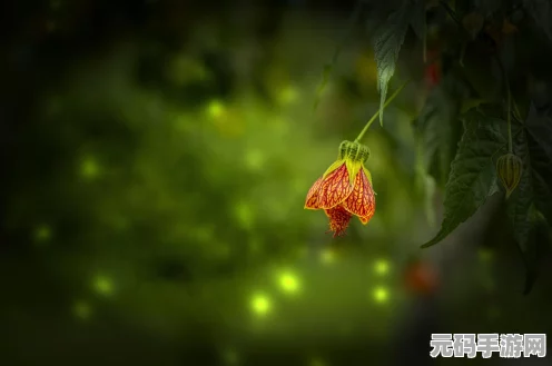 绯石之心桃花演唱会，浪漫音符奏响英雄乐章