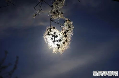 诛仙世界朱雀星魄闪耀登场，获取攻略大揭秘！