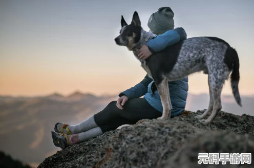 歧路旅人2猎人宠物选择大揭秘，哪个才是你的最佳拍档？