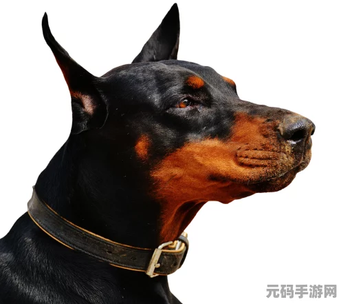 Dota手游风靡全球，高端竞技魅力再现