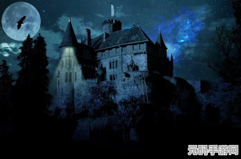 阴阳师奇幻之旅，帚神神秘踪迹全面揭秘