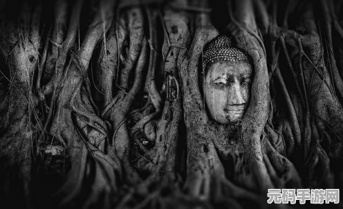 阴阳师奇幻之旅，帚神神秘踪迹全面揭秘