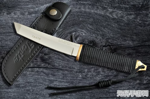 地下城与勇士，流浪武士武器选择指南，110级与100级装备深度解析