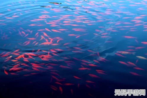 奥比岛梦幻田园，作物工坊与土地种植全攻略