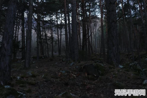 黑暗之魂重制版飞龙之谷，勇者无畏的探险之旅流程攻略全揭秘