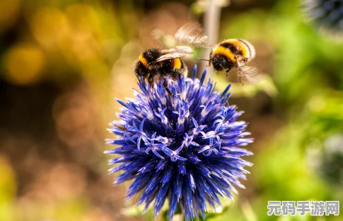 奥比岛蜜蜂采蜜大揭秘，智能路径规划技术开启甜蜜采集新纪元